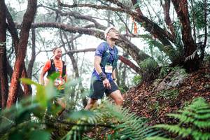 BIB: 
                            <button type="button" onclick="openModal(26295631)" class="btn btn-primary btn-sm float-right btn-popup" data-toggle="modal" data-target=".modal-high-quality">
                        <i class="fas fa-shopping-cart"></i> Add to Cart
                    </button>
                                            <button type="button" onclick="isThisMe(26295631, true)" class="btn btn-success btn-sm float-right btn-popup btn-isme hidden" data-toggle="tooltip" data-placement="bottom" title="นี่คือรูปของคุณใช่ไหม คลิกที่นี่เพื่อเอาเข้าอัลบั้ม">
                        <i class="fas fa-plus"></i> Add to album
                    </button>
                    <button type="button" onclick="isThisMe(26295631, false)" class="btn btn-warning btn-sm float-right btn-popup btn-isnotme hidden">
                        <i class="fas fa-ban"></i> Remove from album
                    </button>